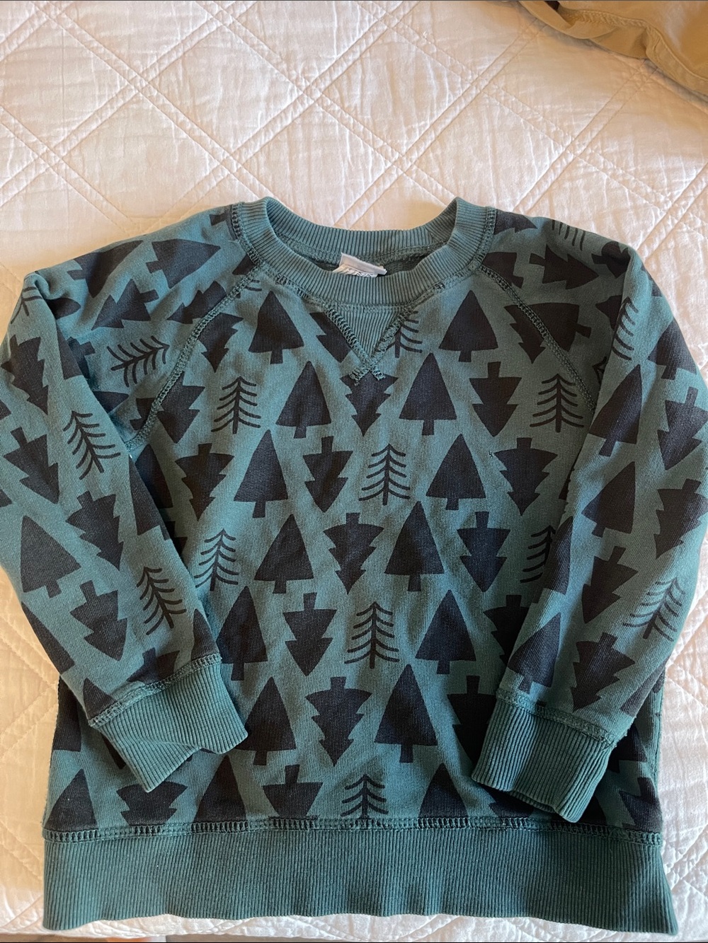 Hanna Andersson Teal Crewneck Sweater with Black Tree Motif